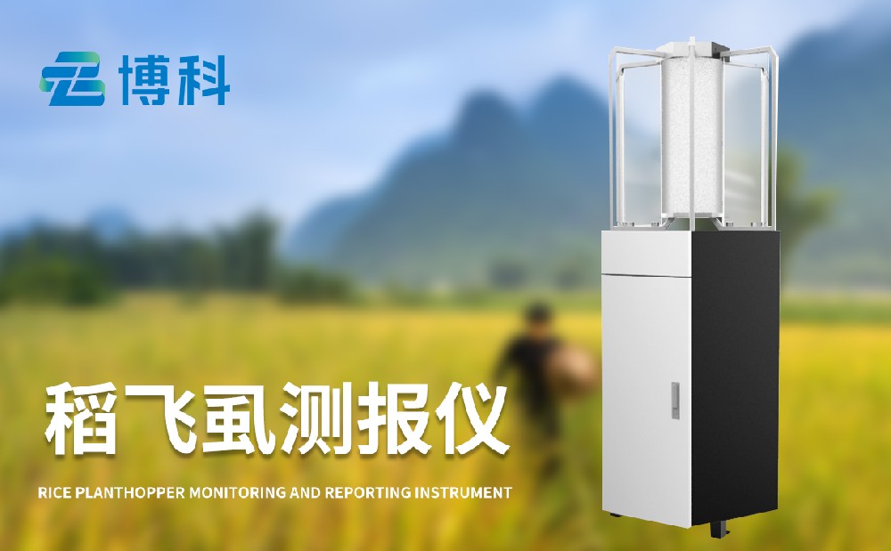 1717038412701549.jpg 1717038412701549.jpg