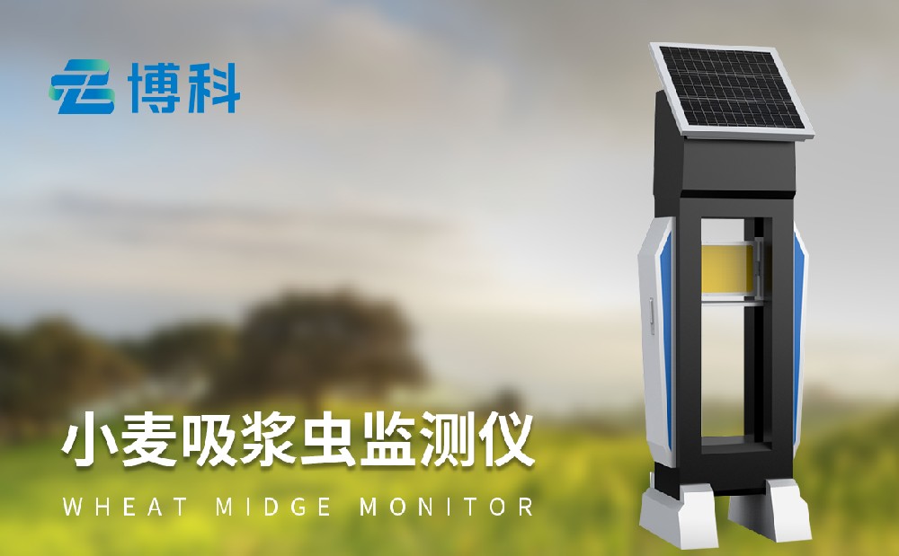 吸漿蟲測(cè)報(bào)儀