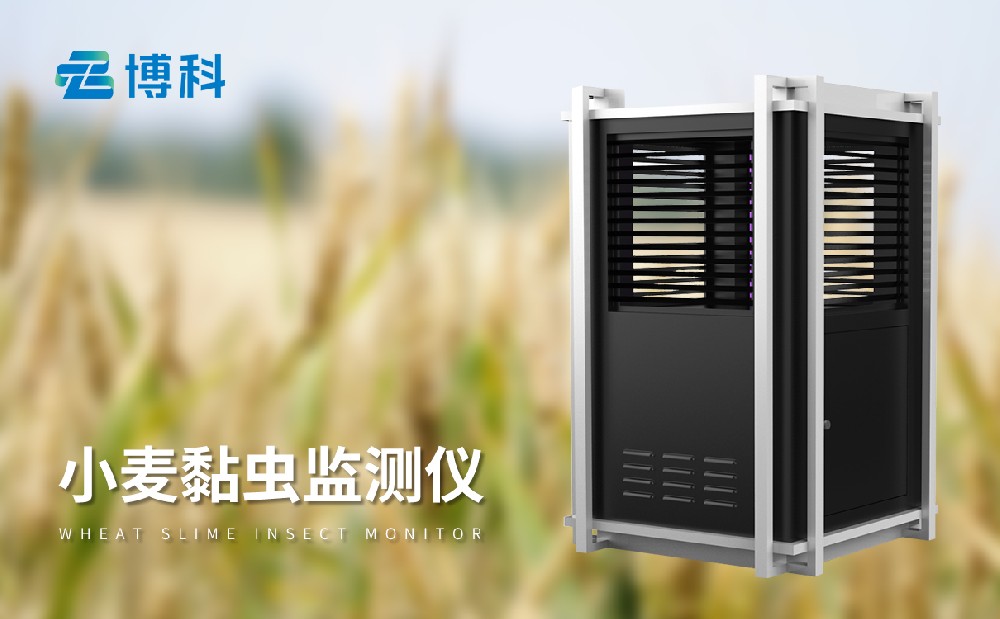 小麥黏蟲(chóng)監(jiān)測(cè)儀